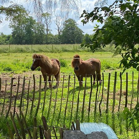 Bed & Breakfast 5 Min From E47 - Dogs Welcome - Cosy Farm Bnb Tureby Exteriér fotografie